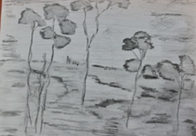 Drawing by Maria