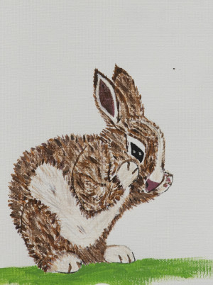 Kayne W
"Rusty hopes to live another day." Rusty the Rabbit